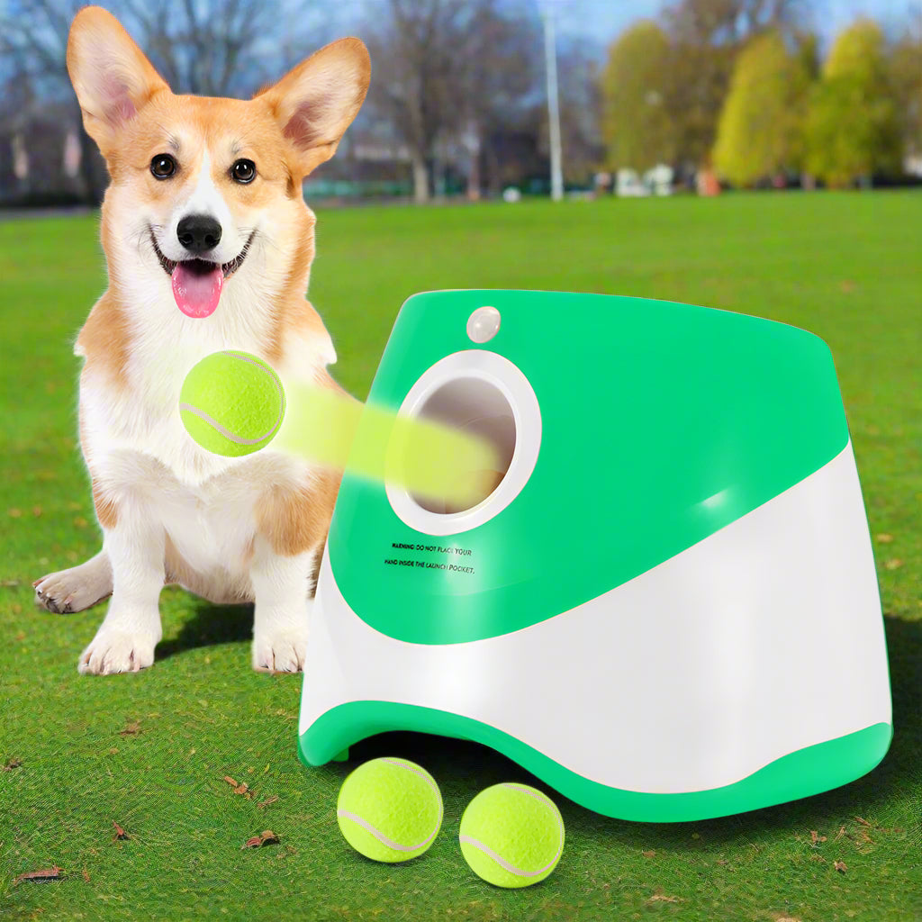 Automatic Pet Ball Launcher (Copy)